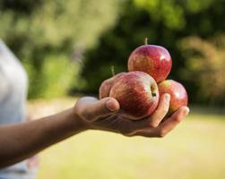 mano de mujer sosteniendo un montón de manzanas foto