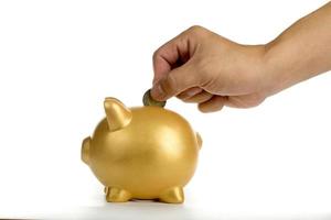 Piggy bank increasing your finance growing