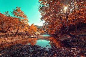 día soleado en otoño cerca de un pequeño río