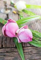 pink lotus flower on wood background photo