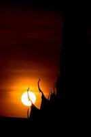 silhouette thai temple at dawn