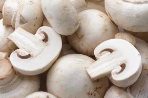 Champignon mushrooms photo