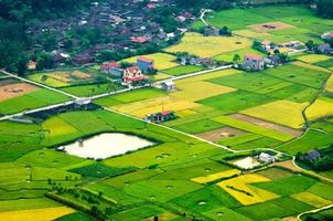 campo de arroz en época de cosecha en bac son valley, lang son, vietnam foto