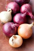 Red and yellow onions photo