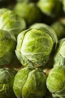 Raw Green Organic Brussel Sprouts photo