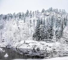 casa en las montañas en invierno foto