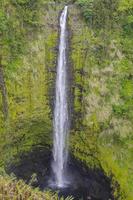 Akaka Falls on the Big Island of Hawaii.