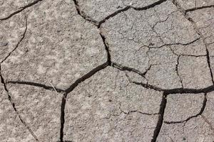 Dry cracked earth photo