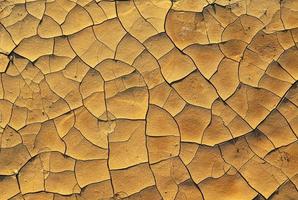 Dry cracked earth photo