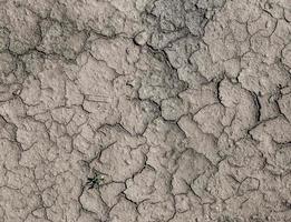 Texture drought parched earth photo