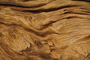 wood textured
