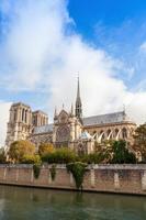 Notre Dame de París, foto vertical