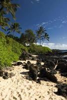 playa tropical con palmeras, arena dorada y roca volcánica foto