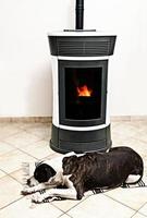 wood stove and dog photo