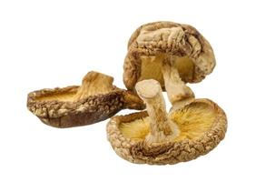 Dry asian mushroom