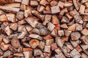 stack of firewood photo