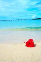 hibisco en playa tropical