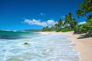 Playa de arena virgen con palmeras y océano azul foto