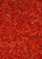 Red hibiscus photo