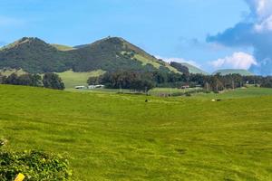 Fields along Kohala Mountain Road, Big Island