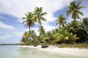 Perfect tropical island paradise beach photo