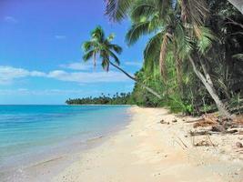 Tropical beach in Fiji islands photo