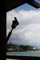 silueta de gorrión encaramado en una antorcha tiki