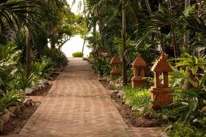 tropical garden and  the road to sea beach photo