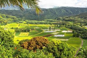 Hanalei Valley in Kauai, Hawaii photo