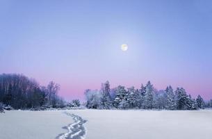 paisaje de invierno de noche con luna llena foto