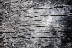 wood photo
