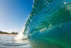 Beautiful Wave photo