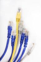 Multi color network cables photo