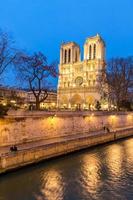 París Notre Dame foto