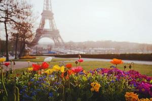 spring in Paris