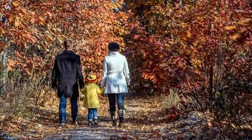 Familia de dos generaciones caminando en vista trasera del bosque otoñal