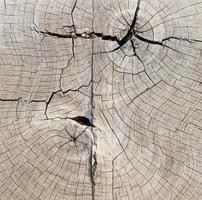textura de madera natural o fondo