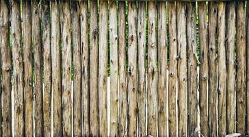 textura de valla de madera foto