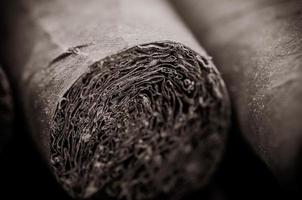 Cigars Close Up photo