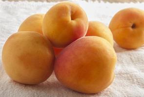 apricot close up photo