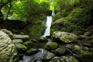 Waterfall and fresh green photo