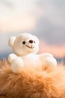 Teddy bear with photo