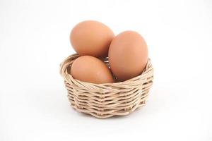 egg photo