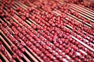 sour cherries in processing machines photo