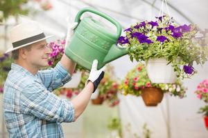hombre de mediana edad regando las plantas de flores en invernadero foto