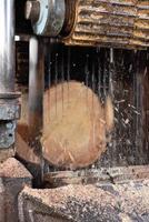 wood products industry