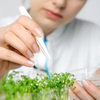Health and safety background with cress-salad sprouts for qualit photo