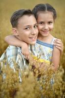 Happy kids   in field at summer photo