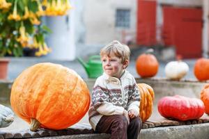 Little boy sitting on pumpkin patch photo