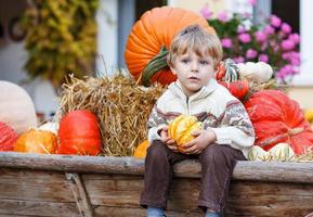 Little boy sitting on pumpkin patch photo